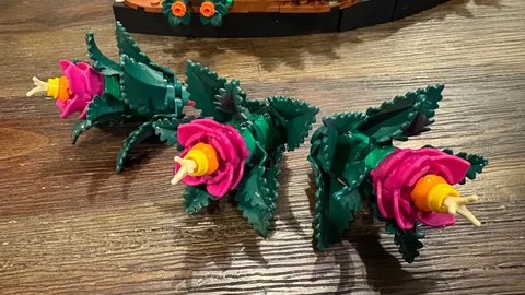 kaiyun·开云（中国）